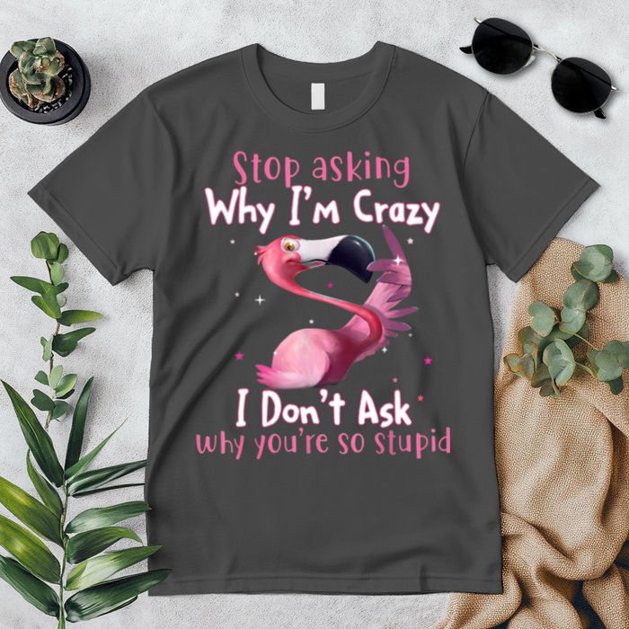 Stop Asking Why I'm Crazy I Don't Ask Why You're So Stupid Funny Premium T-Shirt