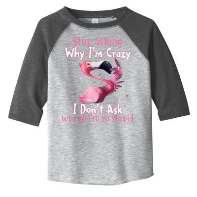 Stop Asking Why I'm Crazy I Don't Ask Why You're So Stupid Funny Toddler Fine Jersey T-Shirt