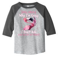 Stop Asking Why I'm Crazy I Don't Ask Why You're So Stupid Funny Toddler Fine Jersey T-Shirt