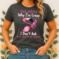 Stop Asking Why I'm Crazy I Don't Ask Why You're So Stupid Funny Womens T-Shirt
