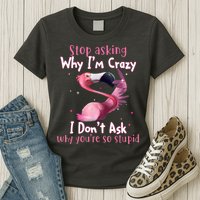 Stop Asking Why I'm Crazy I Don't Ask Why You're So Stupid Funny Womens T-Shirt