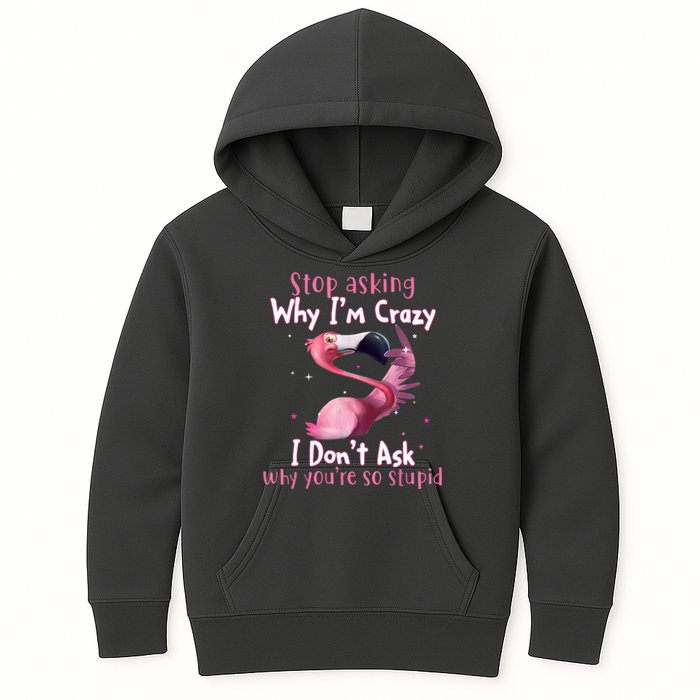 Stop Asking Why I'm Crazy I Don't Ask Why You're So Stupid Funny Kids Hoodie