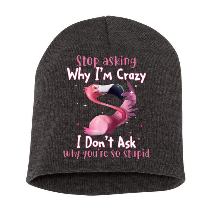 Stop Asking Why I'm Crazy I Don't Ask Why You're So Stupid Funny Short Acrylic Beanie