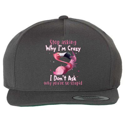 Stop Asking Why I'm Crazy I Don't Ask Why You're So Stupid Funny Wool Snapback Cap