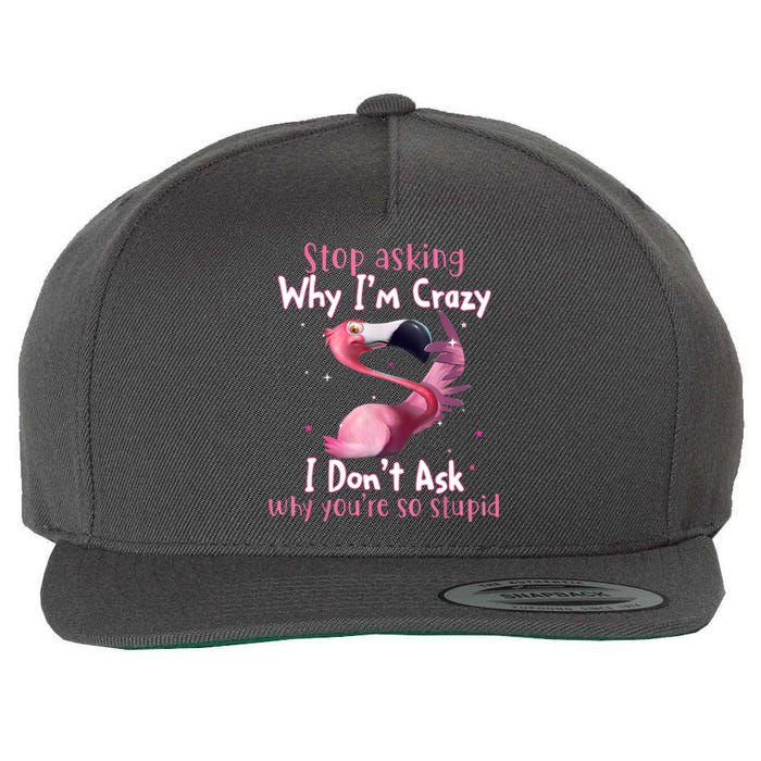 Stop Asking Why I'm Crazy I Don't Ask Why You're So Stupid Funny Wool Snapback Cap