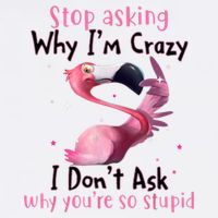 Stop Asking Why I'm Crazy I Don't Ask Why You're So Stupid Funny Garment-Dyed Sweatshirt