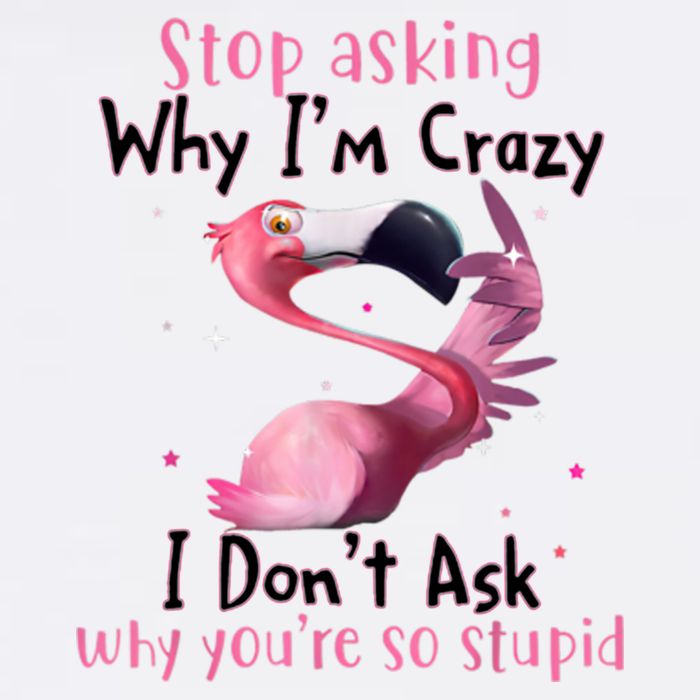 Stop Asking Why I'm Crazy I Don't Ask Why You're So Stupid Funny Garment-Dyed Sweatshirt