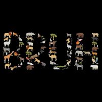 Safari Animals Wildlife Zookeeper Funny Bruh Ns Wool Snapback Cap