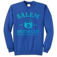 Salem Apothecary Witch Halloween Lazy Costume Gift Sweatshirt