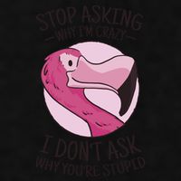 Stop Asking Why I'm Crazy I Don't Ask Why You're Stupid Ladies PosiCharge Tri-Blend Wicking Tank