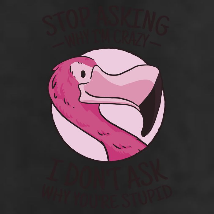 Stop Asking Why I'm Crazy I Don't Ask Why You're Stupid Garment-Dyed Fleece Hoodie