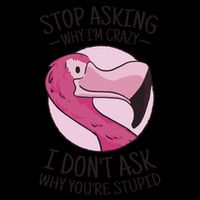 Stop Asking Why I'm Crazy I Don't Ask Why You're Stupid USA-Made Doggie Bandana