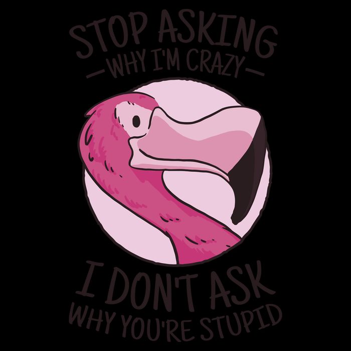 Stop Asking Why I'm Crazy I Don't Ask Why You're Stupid USA-Made Doggie Bandana