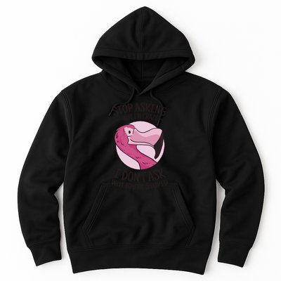 Stop Asking Why I'm Crazy I Don't Ask Why You're Stupid Hoodie