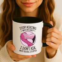 Stop Asking Why I'm Crazy I Don't Ask Why You're Stupid Mug