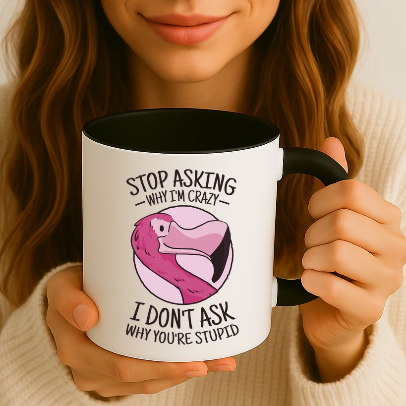 Stop Asking Why I'm Crazy I Don't Ask Why You're Stupid Mug