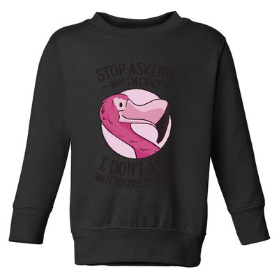 Stop Asking Why I'm Crazy I Don't Ask Why You're Stupid Toddler Sweatshirt