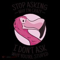 Stop Asking Why I'm Crazy I Don't Ask Why You're Stupid Crop Top