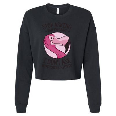 Stop Asking Why I'm Crazy I Don't Ask Why You're Stupid Cropped Pullover Crew