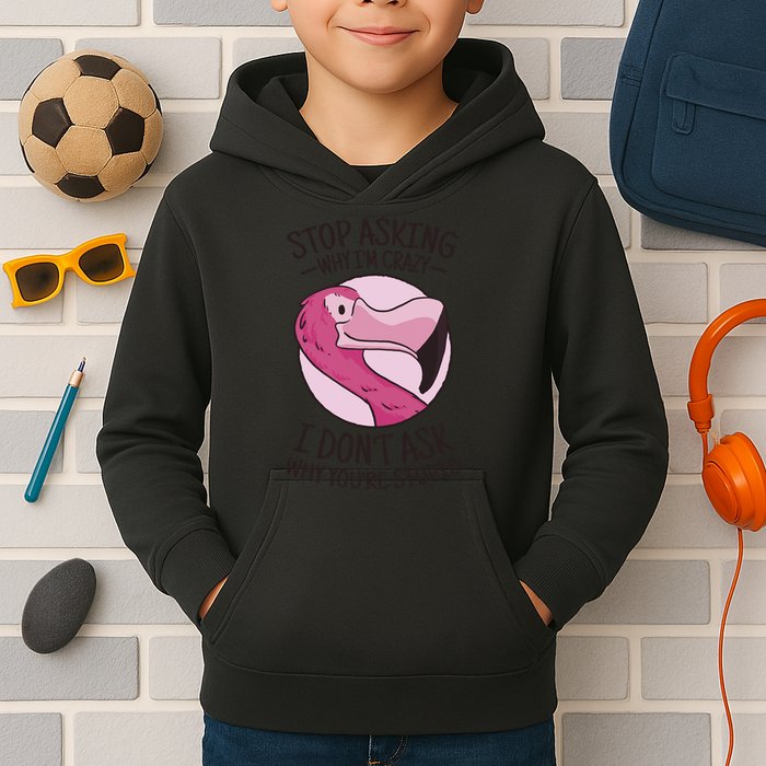 Stop Asking Why I'm Crazy I Don't Ask Why You're Stupid Kids Hoodie