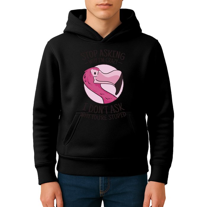 Stop Asking Why I'm Crazy I Don't Ask Why You're Stupid Kids Hoodie