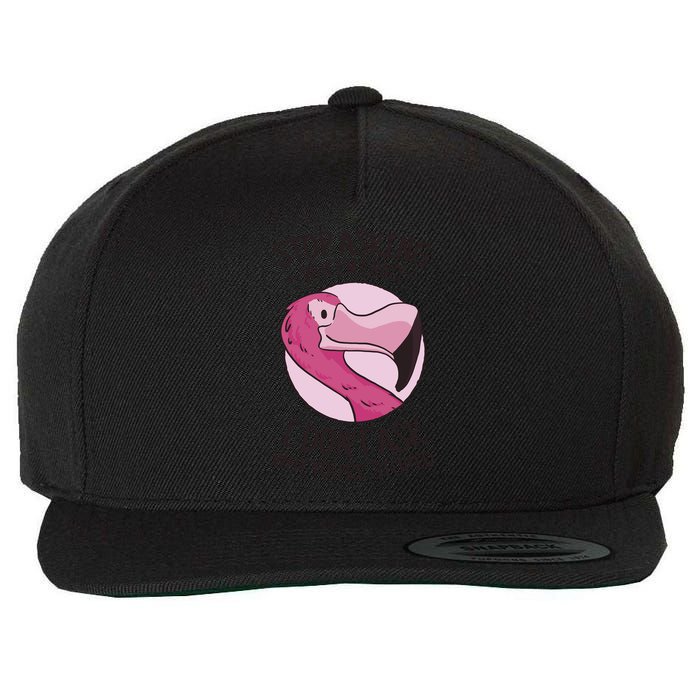 Stop Asking Why I'm Crazy I Don't Ask Why You're Stupid Wool Snapback Cap