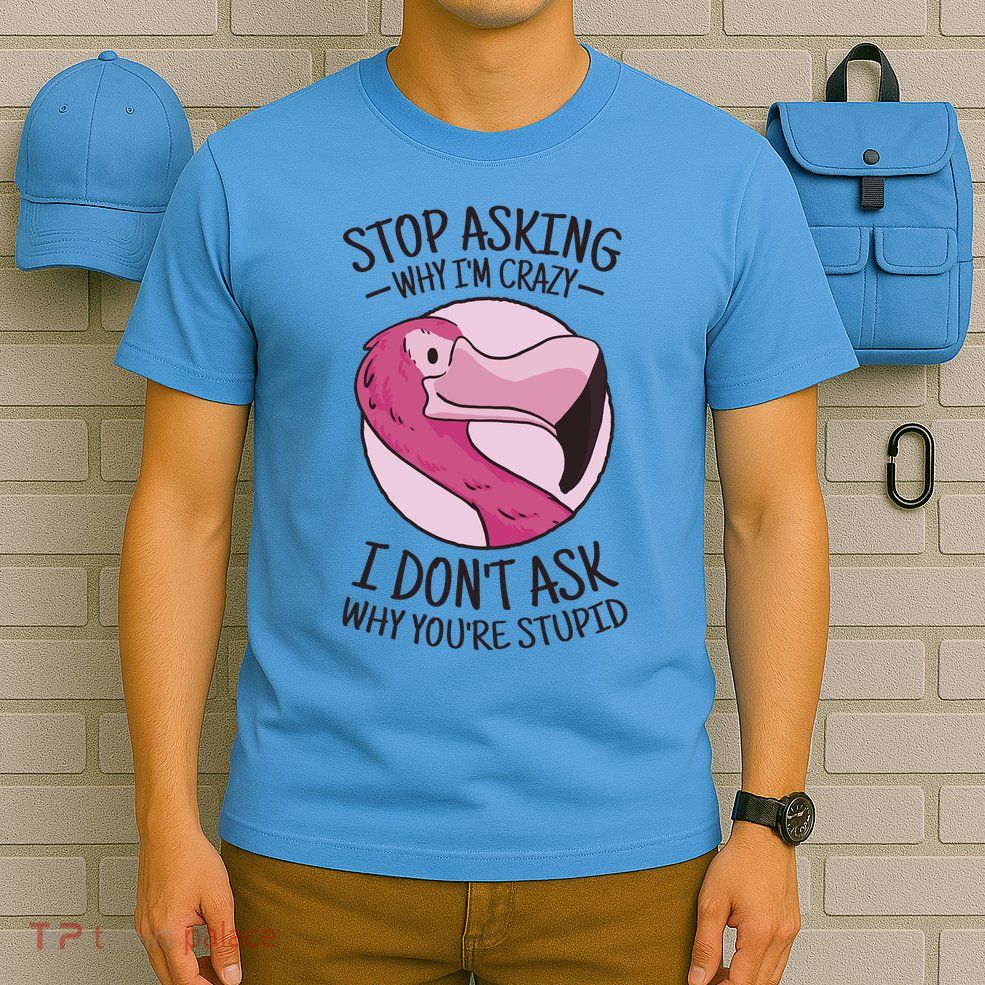 Stop Asking Why I'm Crazy I Don't Ask Why You're Stupid T-Shirt