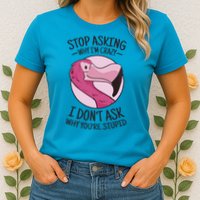 Stop Asking Why I'm Crazy I Don't Ask Why You're Stupid Womens T-Shirt
