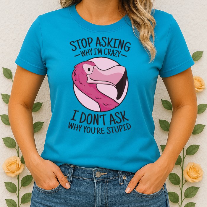 Stop Asking Why I'm Crazy I Don't Ask Why You're Stupid Womens T-Shirt
