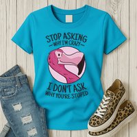 Stop Asking Why I'm Crazy I Don't Ask Why You're Stupid Womens T-Shirt