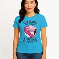 Stop Asking Why I'm Crazy I Don't Ask Why You're Stupid Womens T-Shirt