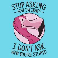 Stop Asking Why I'm Crazy I Don't Ask Why You're Stupid Kids T-Shirt