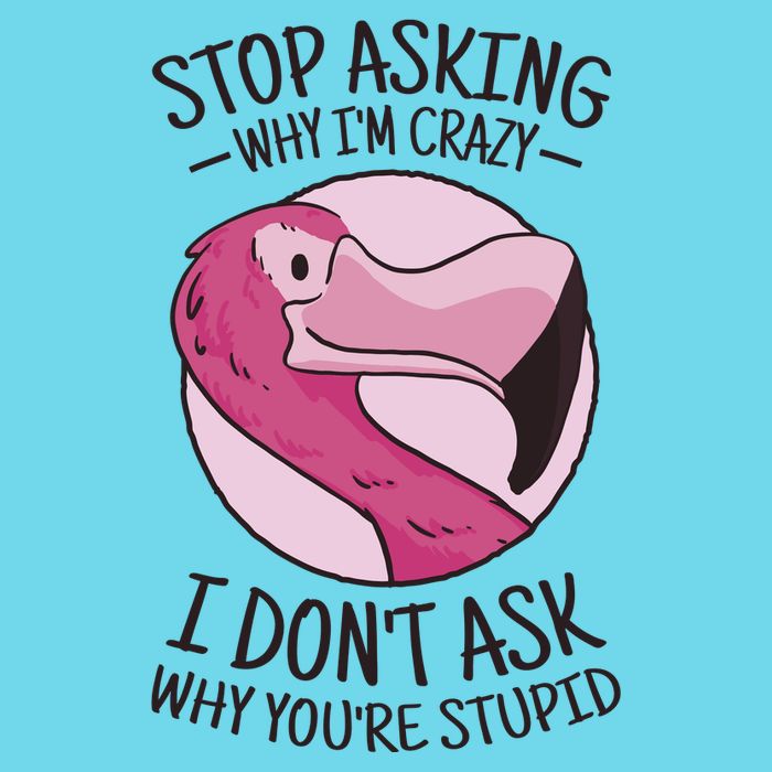 Stop Asking Why I'm Crazy I Don't Ask Why You're Stupid Kids T-Shirt