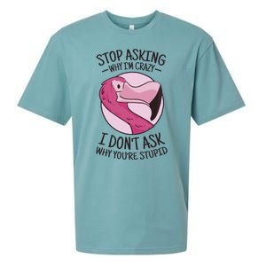 Stop Asking Why I'm Crazy I Don't Ask Why You're Stupid Sueded Cloud Jersey T-Shirt