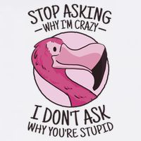 Stop Asking Why I'm Crazy I Don't Ask Why You're Stupid Garment-Dyed Sweatshirt