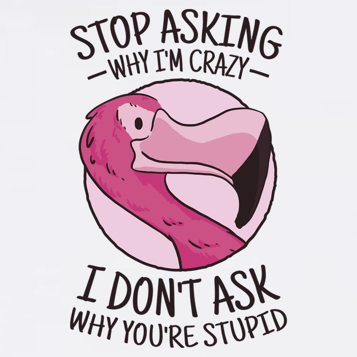 Stop Asking Why I'm Crazy I Don't Ask Why You're Stupid Garment-Dyed Sweatshirt