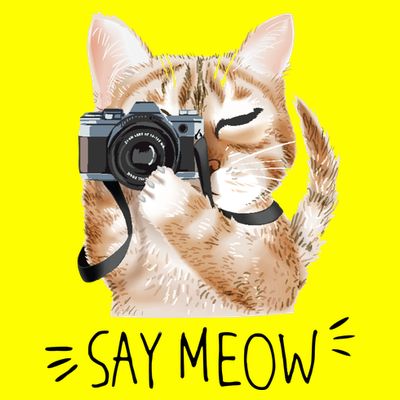 Say Meow Cute Cat Picture T-Shirt
