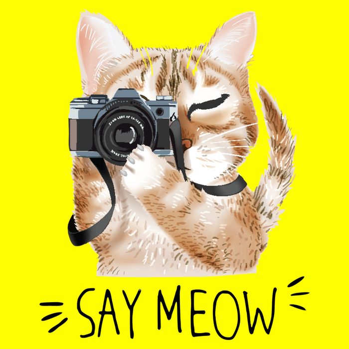 Say Meow Cute Cat Picture T-Shirt