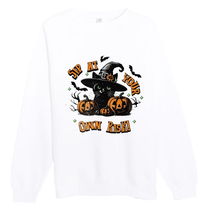 Sit At Your Own Risk Spooky Black Cat Witch Premium Crewneck Sweatshirt