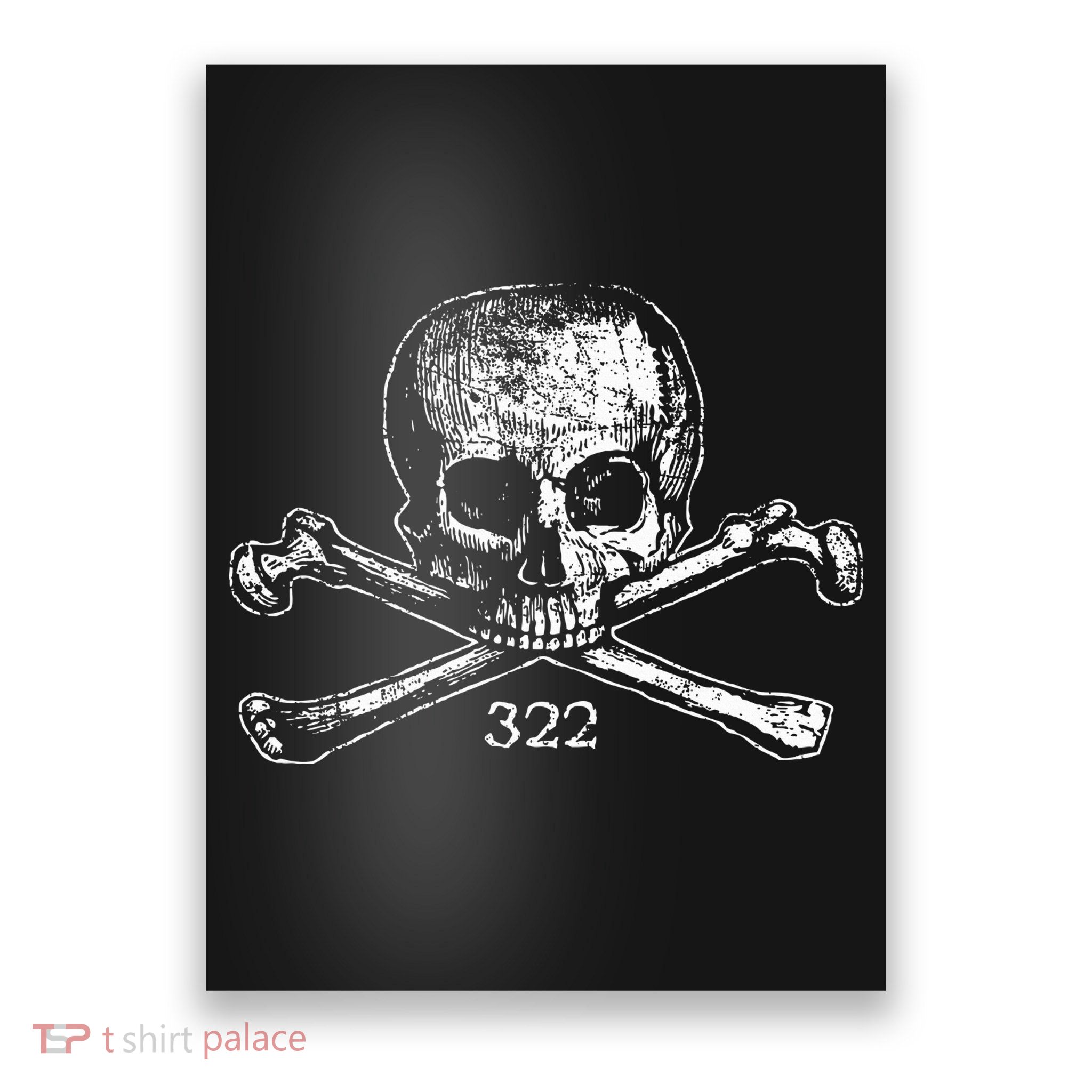 Skull & Bones 322 Distressed Skull And Crossbones Poster