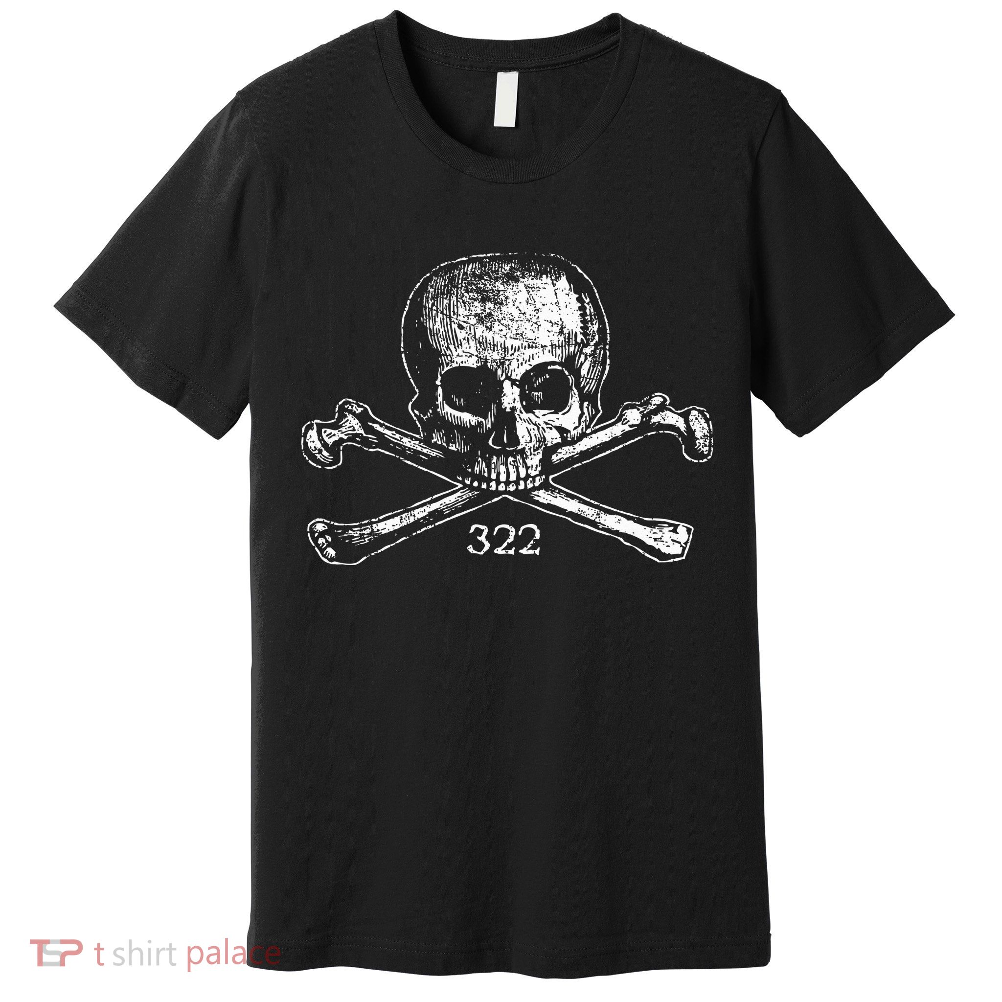 Skull & Bones 322 Distressed Skull And Crossbones Premium T-Shirt