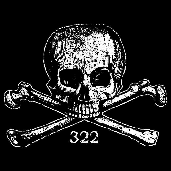 Skull & Bones 322 Distressed Skull And Crossbones Toddler Hoodie
