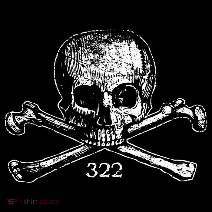 Skull & Bones 322 Distressed Skull And Crossbones Womens T-Shirt