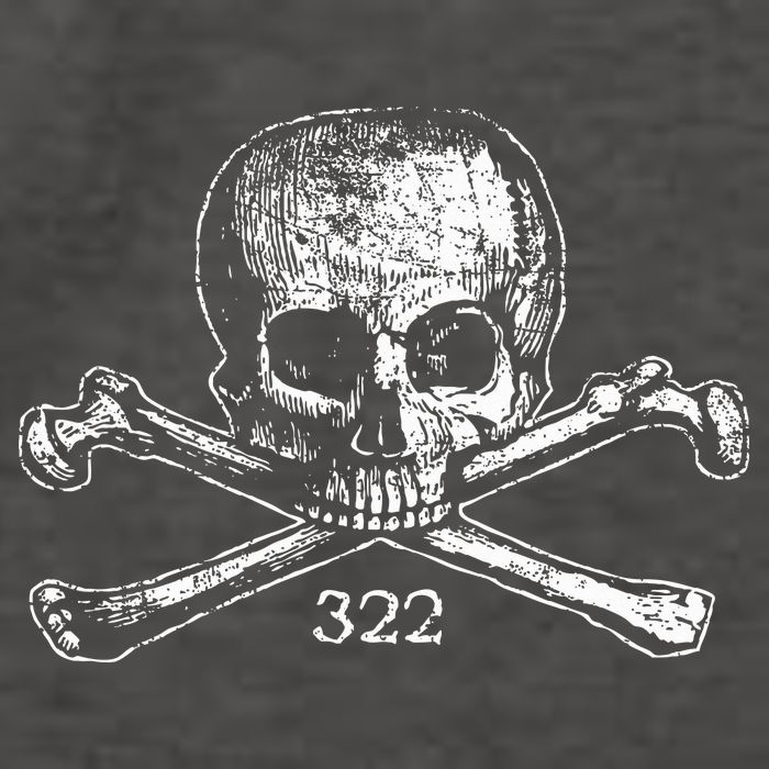 Skull & Bones 322 Distressed Skull And Crossbones Vector Backpack