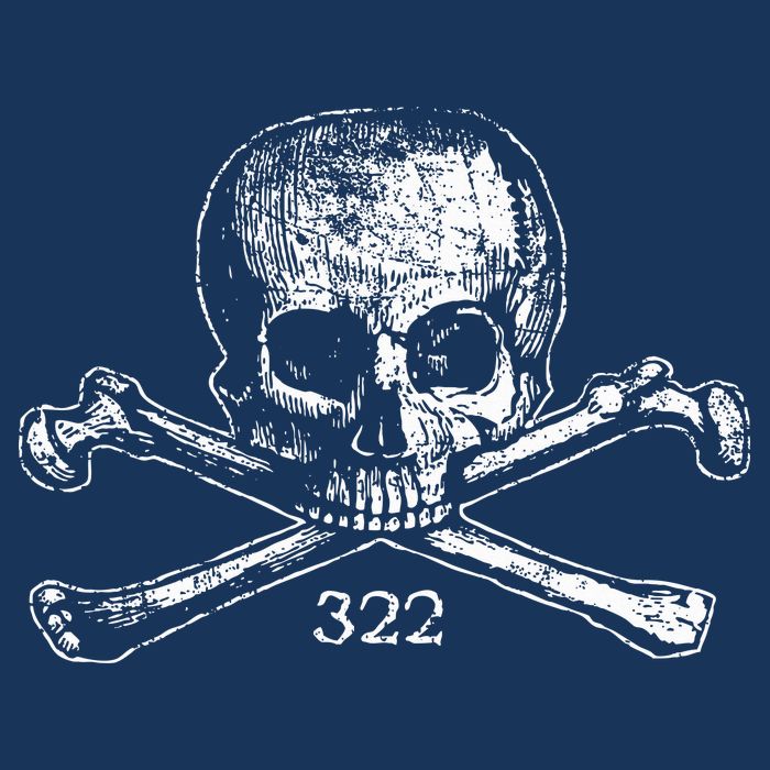 Skull & Bones 322 Distressed Skull And Crossbones Infant Baby Jersey Bodysuit