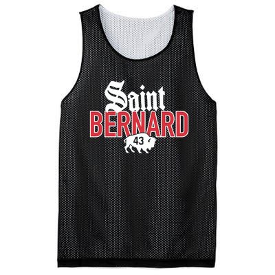 Saint Bernard 43 Mesh Reversible Basketball Jersey Tank