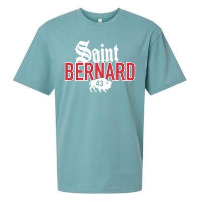 Saint Bernard 43 Sueded Cloud Jersey T-Shirt