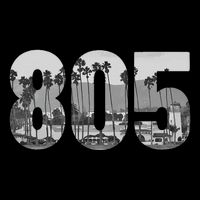 Santa Barbara 805 Area Code Vintage Palm Trees California Sweatshirt