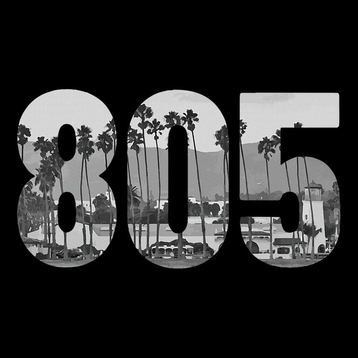 Santa Barbara 805 Area Code Vintage Palm Trees California Sweatshirt