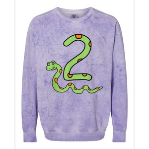 Snake Birthday Boy Kids Reptile Animal Number 2 2nd Bday Colorblast Crewneck Sweatshirt